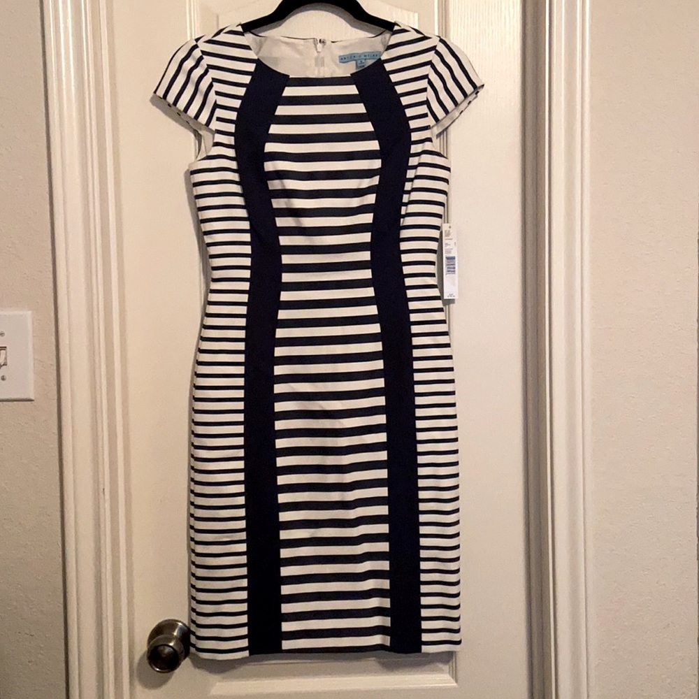 NWT Antonio Melani Sabrina Dress